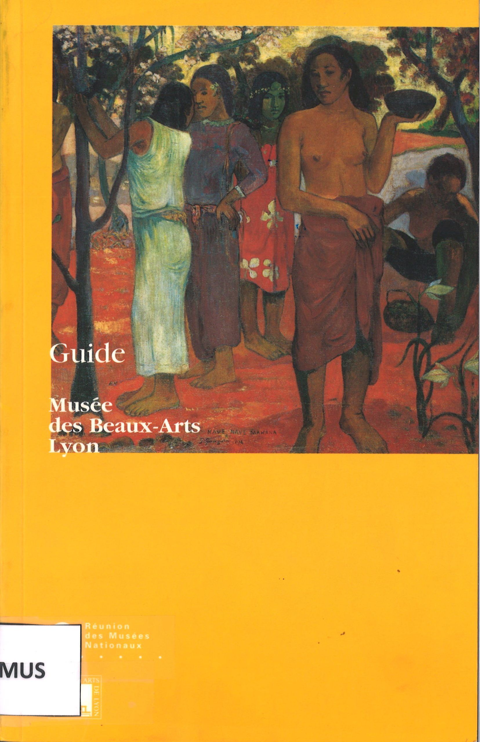 Guide Musée des Beaux-Arts Lyon-image